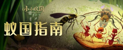 小小蚁国游戏攻略_小小蚁国手游怎么搬砖