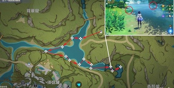原神月莲在哪里采集 原神月莲采摘地点路线图一览
