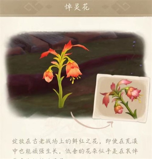 原神悼灵花多久刷新一次_原神悼灵花刷新具体时间一览