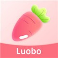 噼里啪啦app最新版