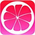 宅男深夜利器app安装包下载入口