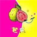 红颜直播最新苹果版