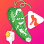 樱樱视频手机版下载地址