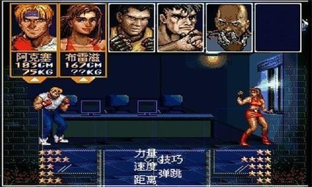 怒之铁拳63